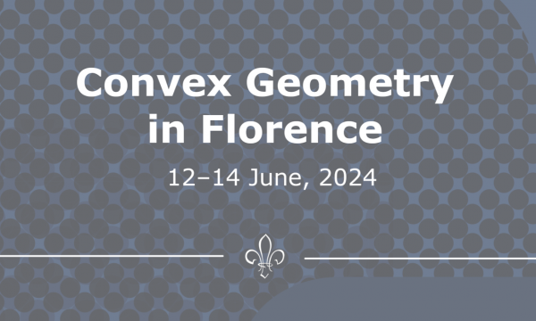 Convegno Convex Geometry in Florence